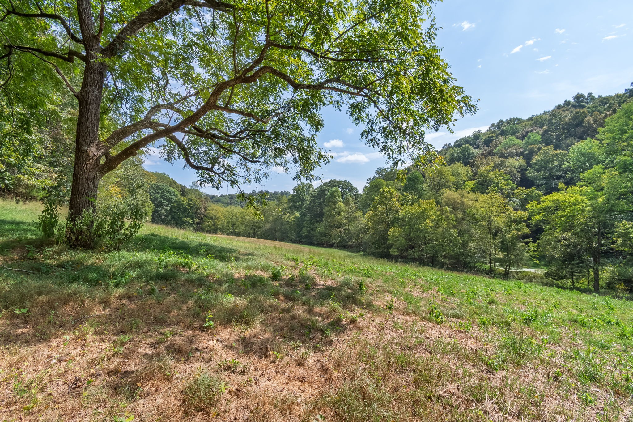 384 Big Spring Hollow Road Pulaski, TN 38478 - Photo 35 of 54 Gallery Image 35