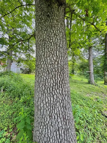 $189,900 | 9 Great Oaks Drive, Salem, MO 65560