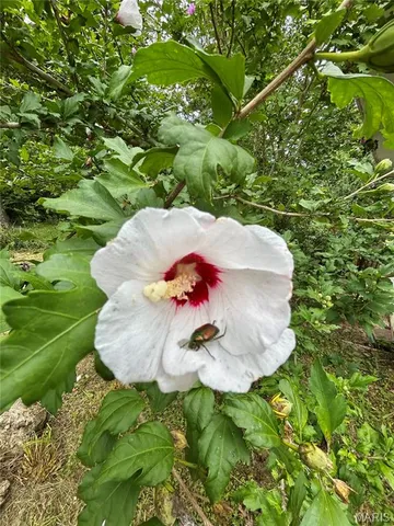 $189,900 | 9 Great Oaks Drive, Salem, MO 65560