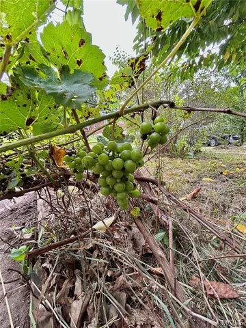 $189,900 | 9 Great Oaks Drive, Salem, MO 65560