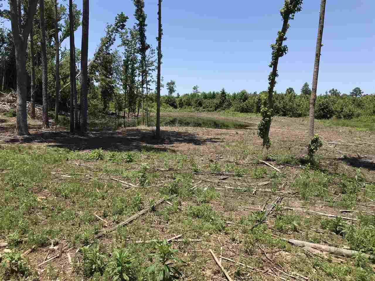 3089 Pleasant Grove Road Carthage, MS 39051 - Photo 36 of 40 Photo 41