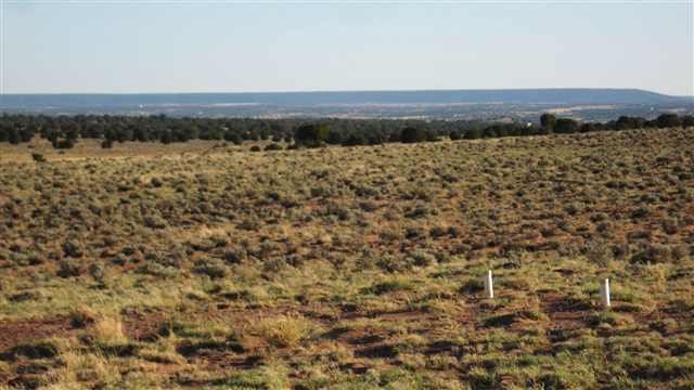 161 River Meadows Ranch Concho, AZ 85924 - Photo 2 of 4