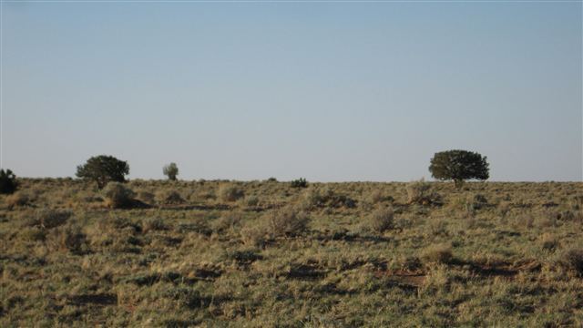 161 River Meadows Ranch Concho, AZ 85924 - Photo 3 of 4