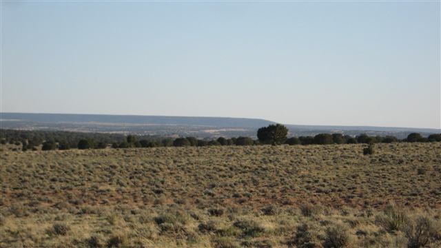 161 River Meadows Ranch Concho, AZ 85924 - Photo 4 of 4