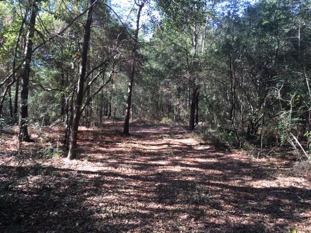 1.4-ac Juniper Lake Road DeFuniak Springs, FL 32433 - Photo 12 of 12 Beautiful Building Lot