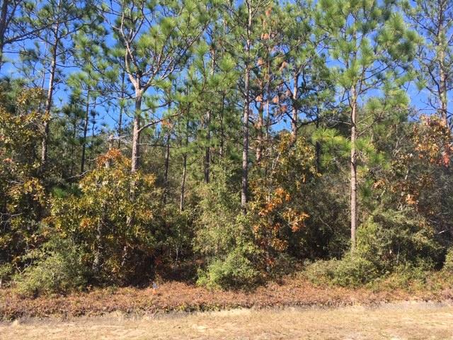 1.4-ac Juniper Lake Road DeFuniak Springs, FL 32433 - Photo 3 of 12 Wooded Lot with Nice Trees