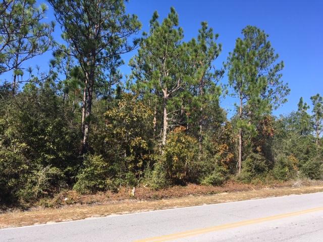 1.4-ac Juniper Lake Road DeFuniak Springs, FL 32433 - Photo 4 of 12 1.38 Acre Lot