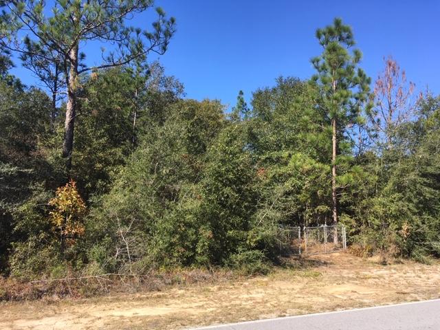 1.4-ac Juniper Lake Road DeFuniak Springs, FL 32433 - Photo 7 of 12 1.38 Acre Lot
