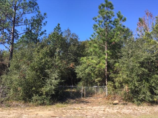 1.4-ac Juniper Lake Road DeFuniak Springs, FL 32433 - Photo 8 of 12 Property Gate
