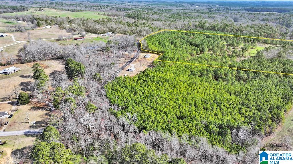 Duncan Road Jasper, AL 35503 - Photo 1 of 5