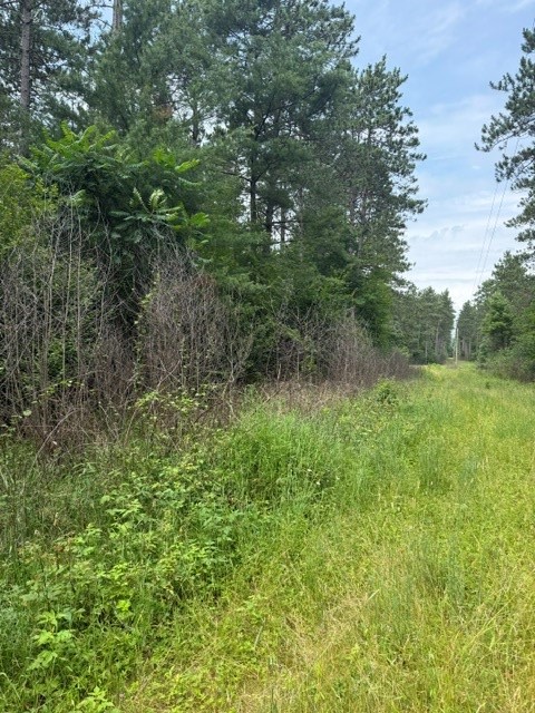 0 West Road Black River Falls, WI 54615 - Photo 1 of 43