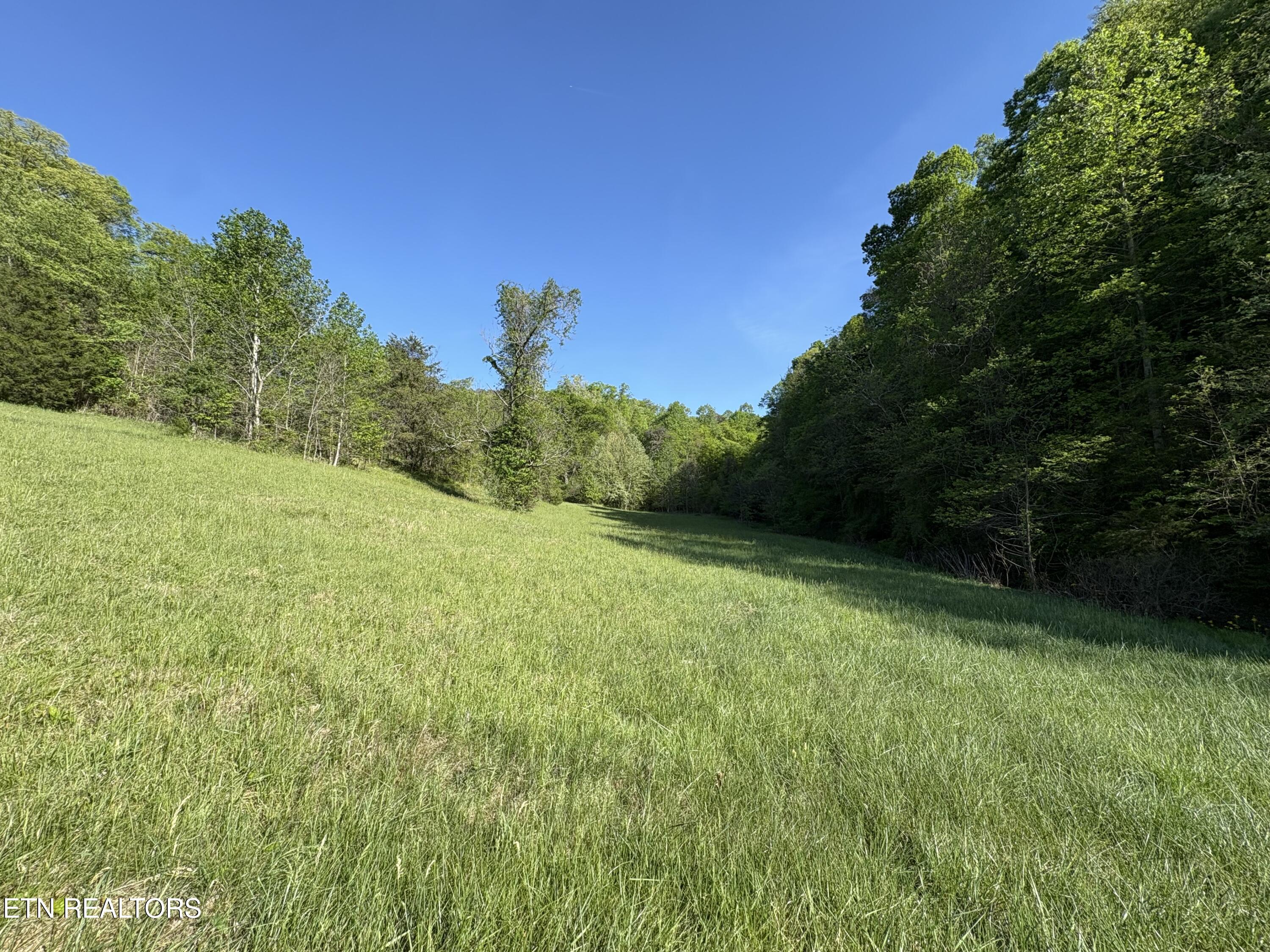 Lot 485 Russell Brothers Road Sharps Chapel, TN 37866 - Photo 11 of 20 IMG_8480
