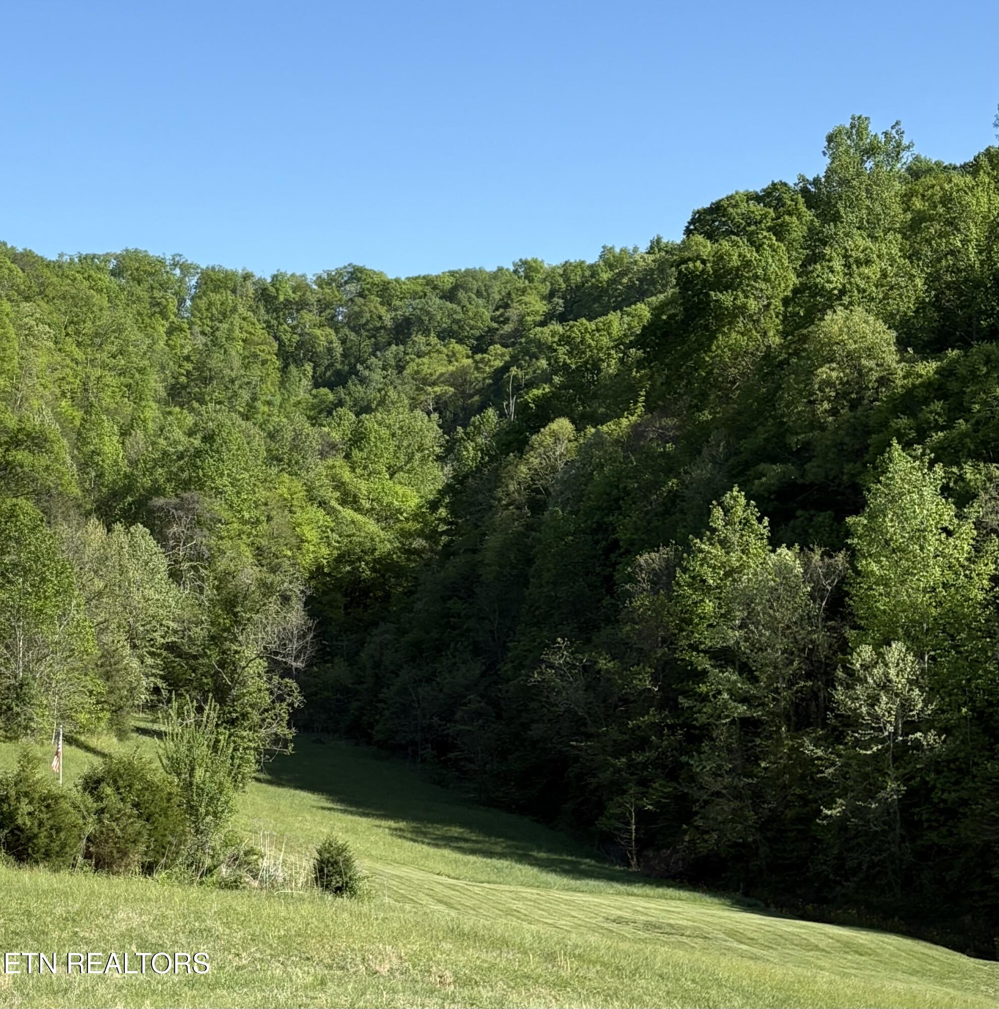 Lot 485 Russell Brothers Road Sharps Chapel, TN 37866 - Photo 2 of 20 IMG_8479
