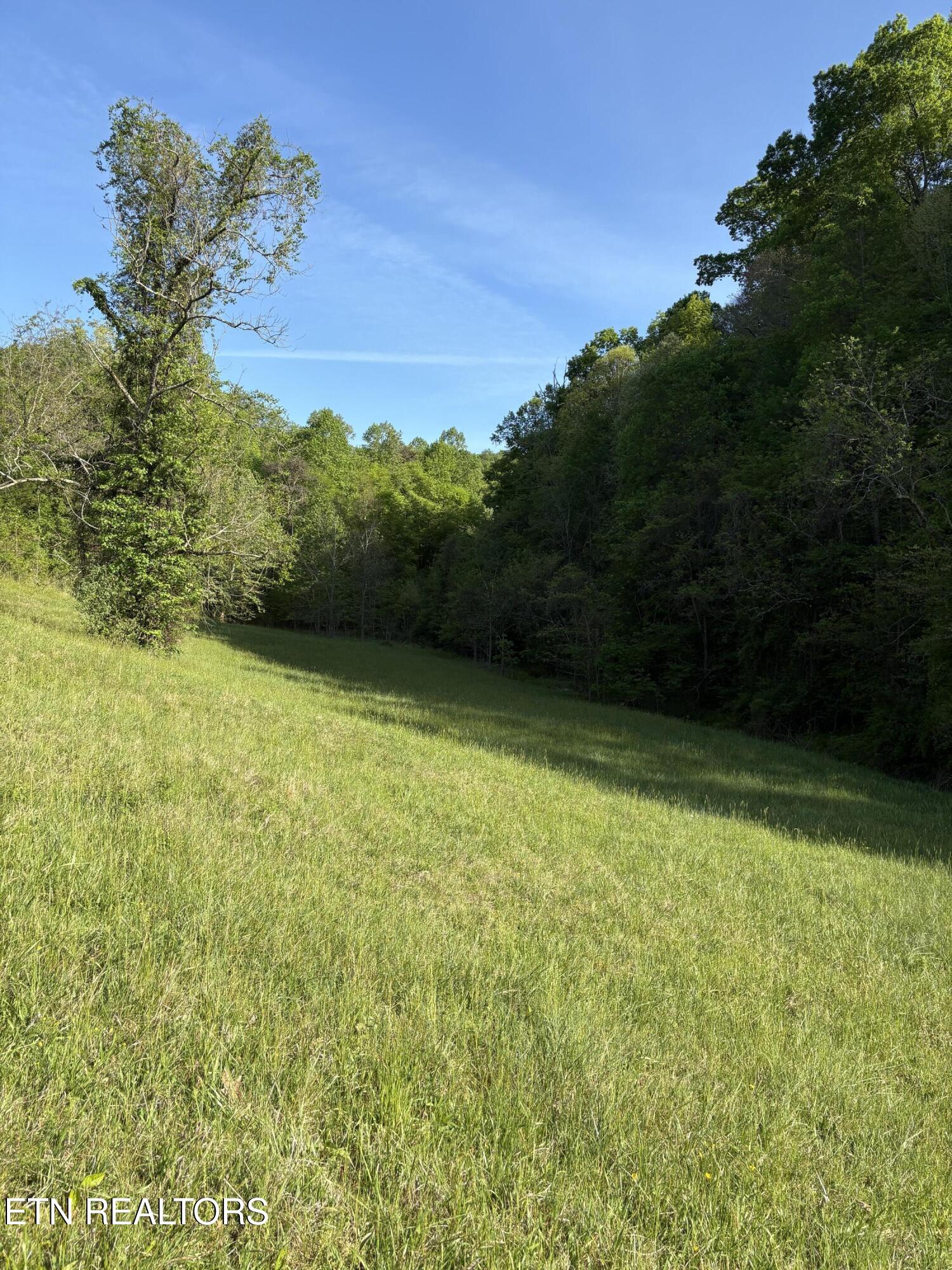 Lot 485 Russell Brothers Road Sharps Chapel, TN 37866 - Photo 8 of 20 IMG_8555