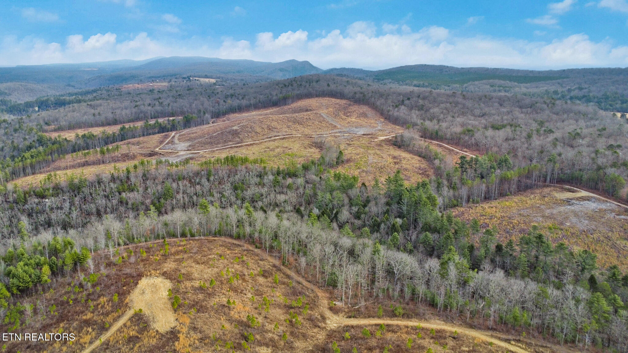 142.25 Acres Grandview, TN 37337 - Photo 13 of 30 Aerial View