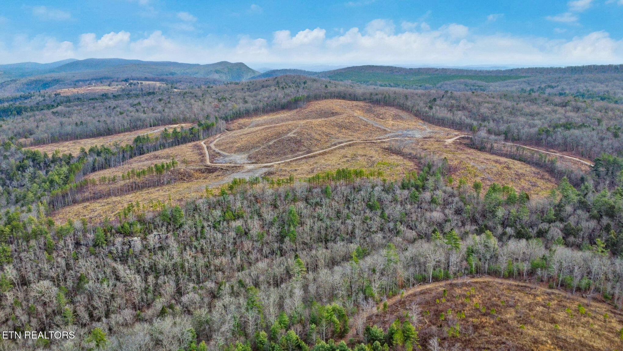 142.25 Acres Grandview, TN 37337 - Photo 14 of 30 Aerial View