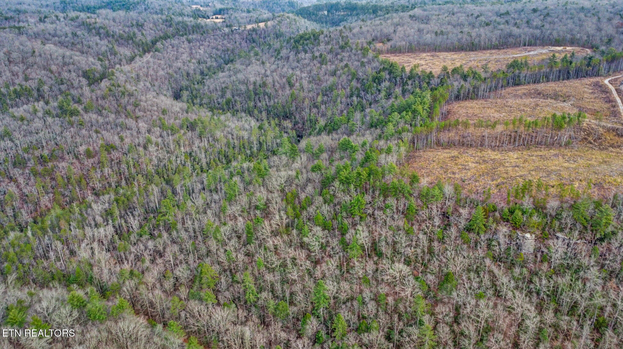 142.25 Acres Grandview, TN 37337 - Photo 16 of 30 Aerial View