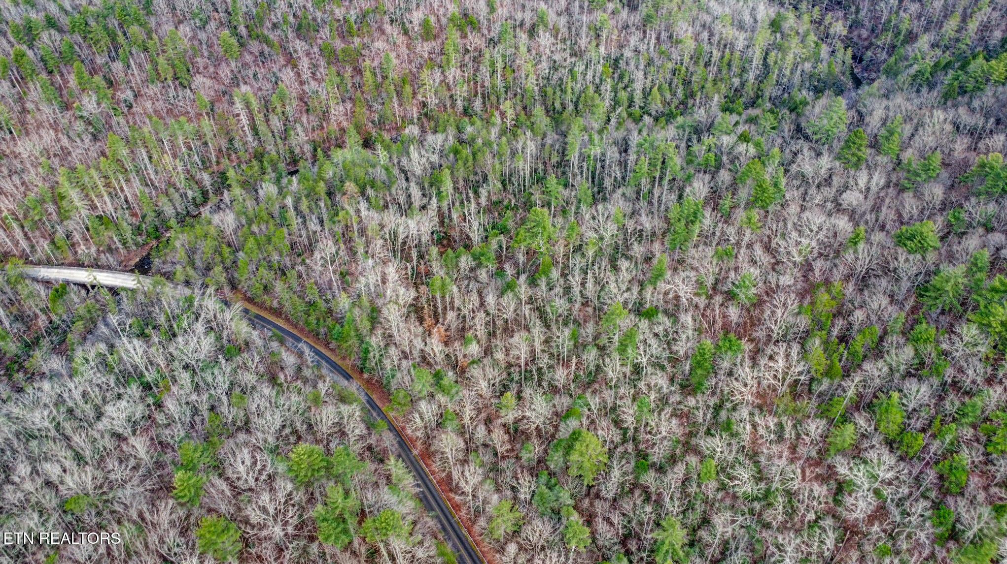 142.25 Acres Grandview, TN 37337 - Photo 17 of 30 Aerial View