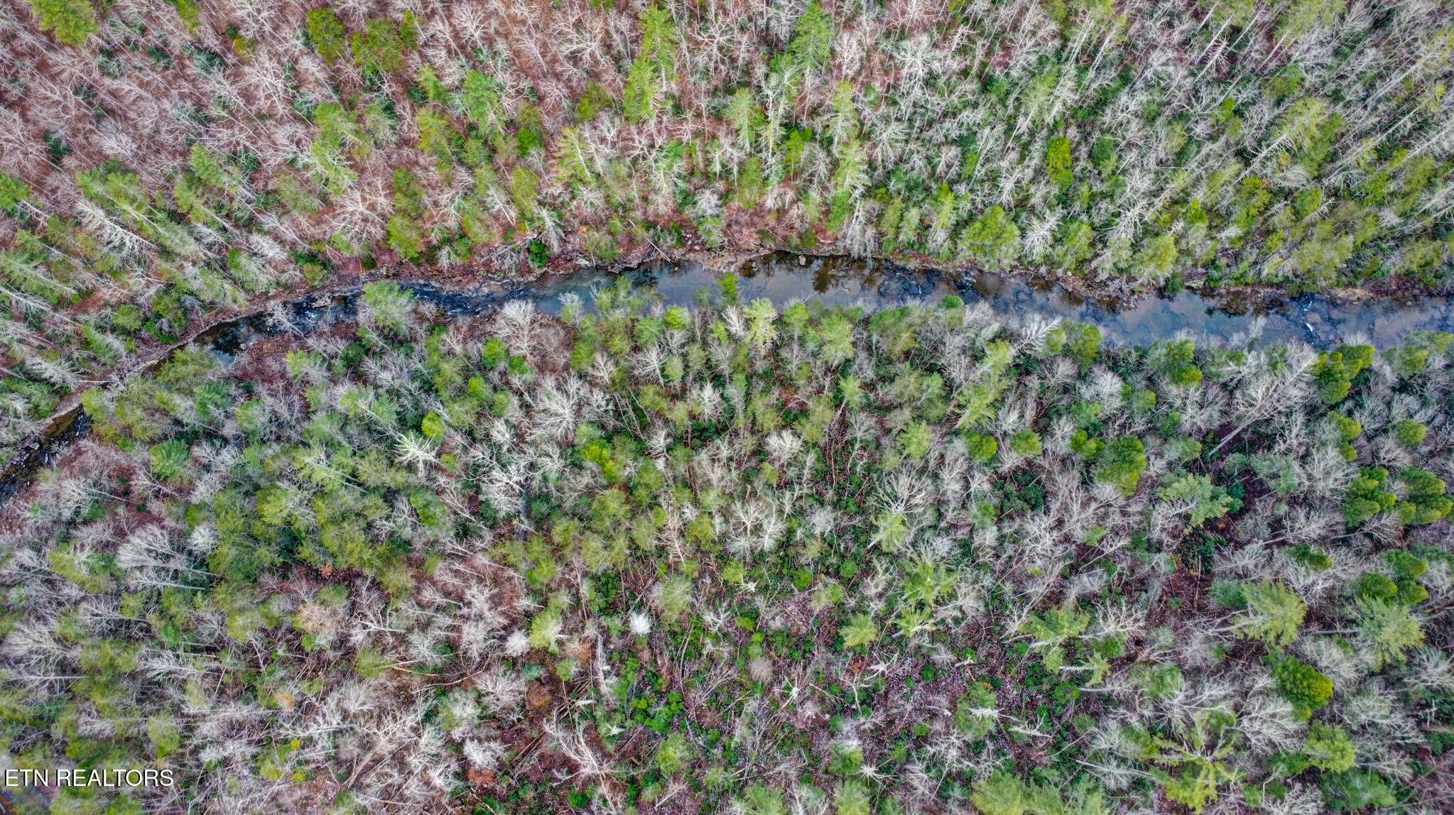 142.25 Acres Grandview, TN 37337 - Photo 18 of 30 Aerial View