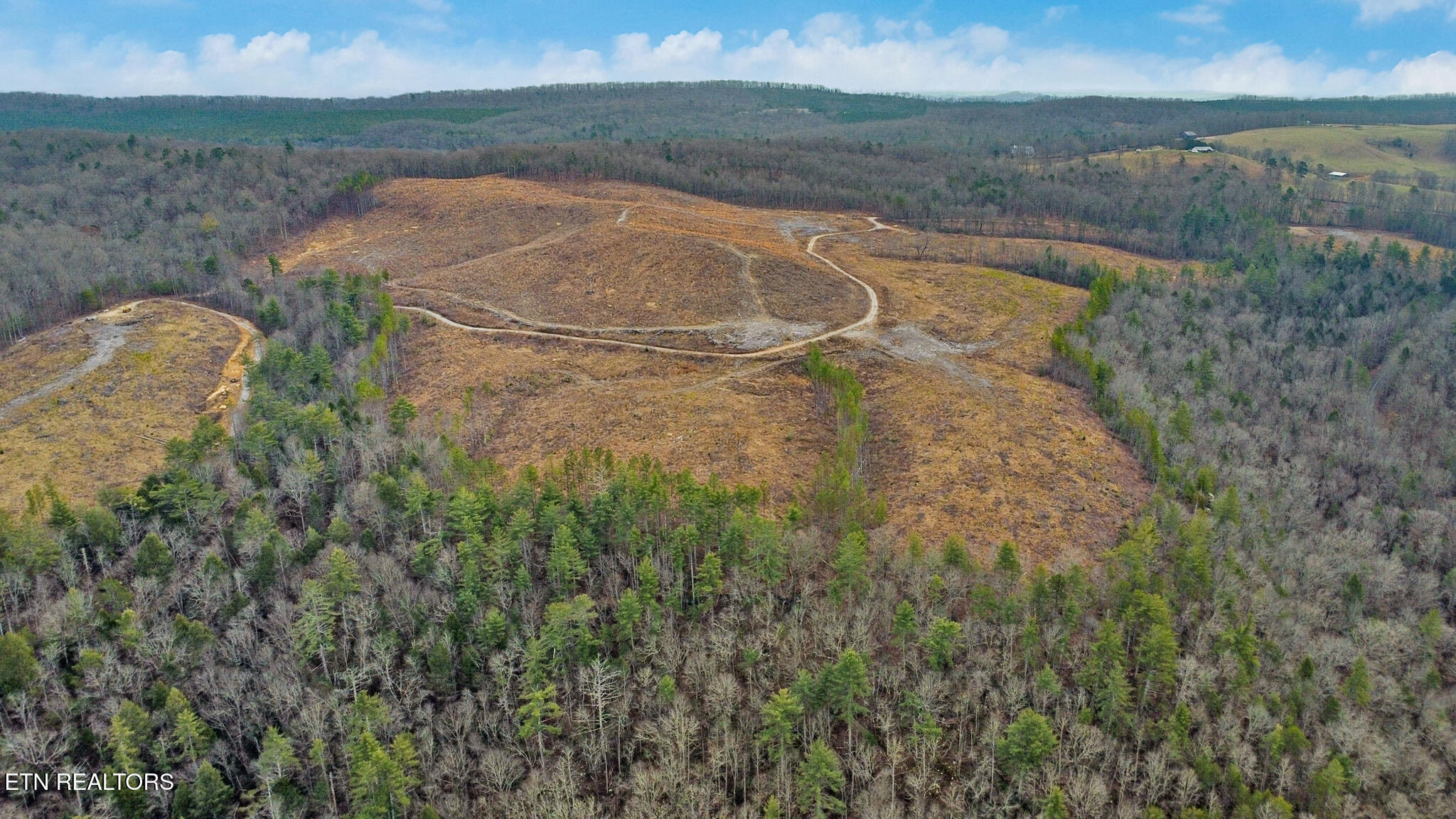 142.25 Acres Grandview, TN 37337 - Photo 2 of 30 Aerial View