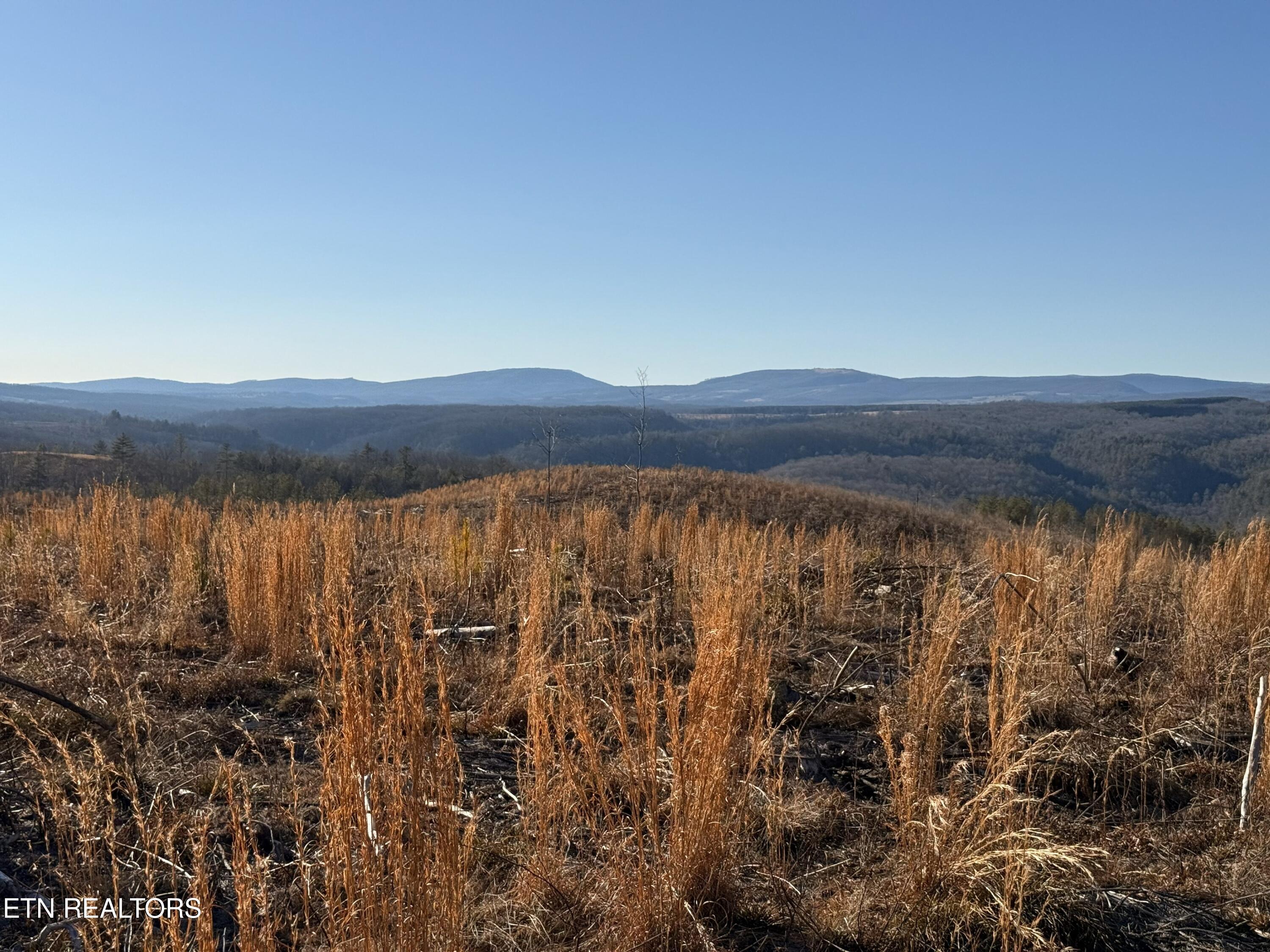 142.25 Acres Grandview, TN 37337 - Photo 22 of 30 Mountain View