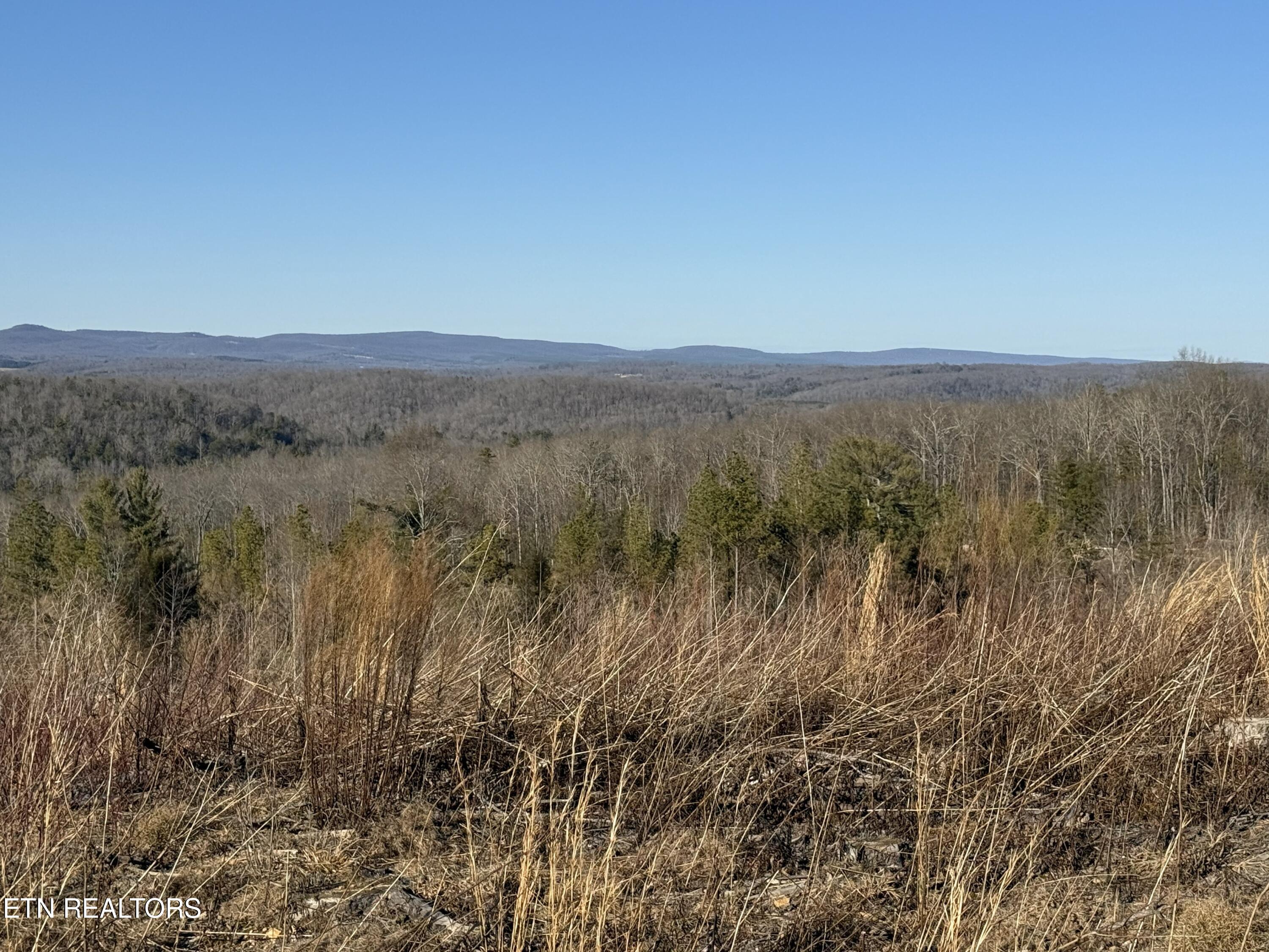 142.25 Acres Grandview, TN 37337 - Photo 25 of 30 Mountain View