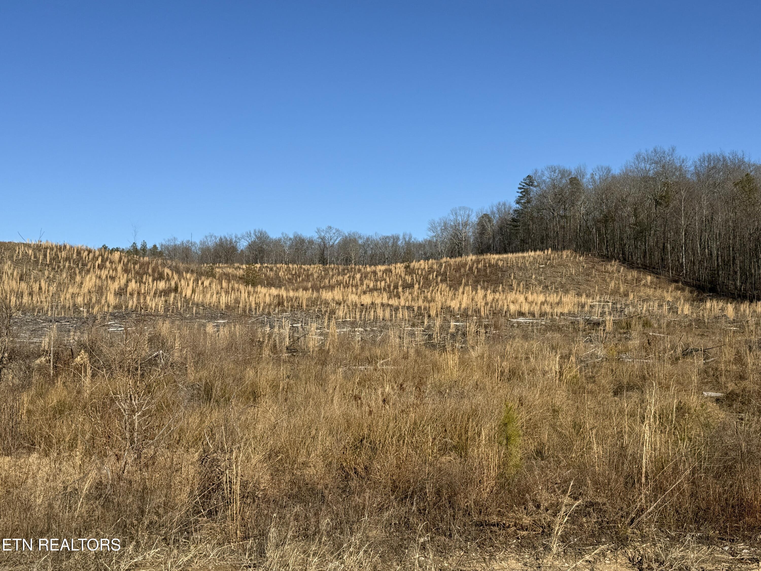 142.25 Acres Grandview, TN 37337 - Photo 27 of 30 Property