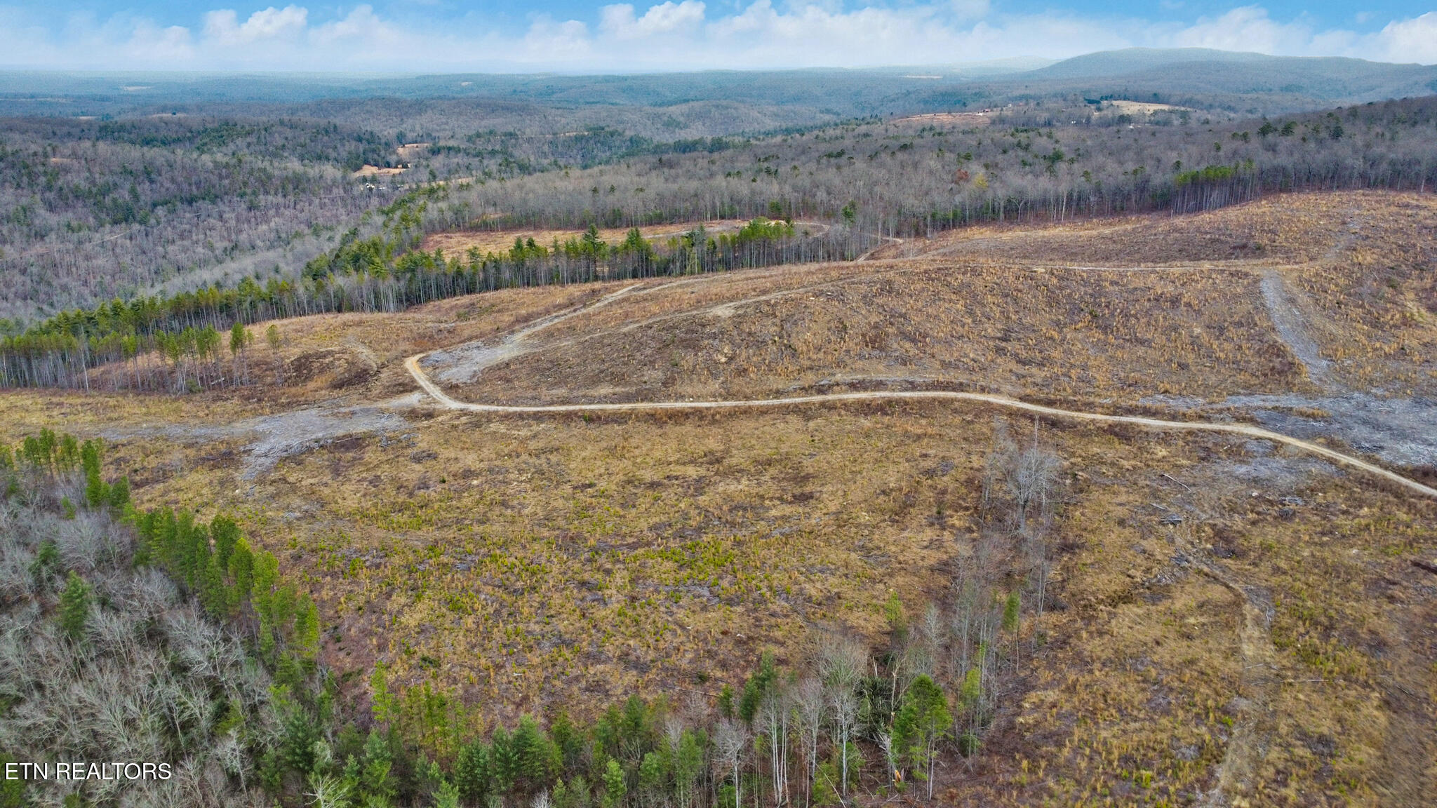 142.25 Acres Grandview, TN 37337 - Photo 3 of 30 Aerial View