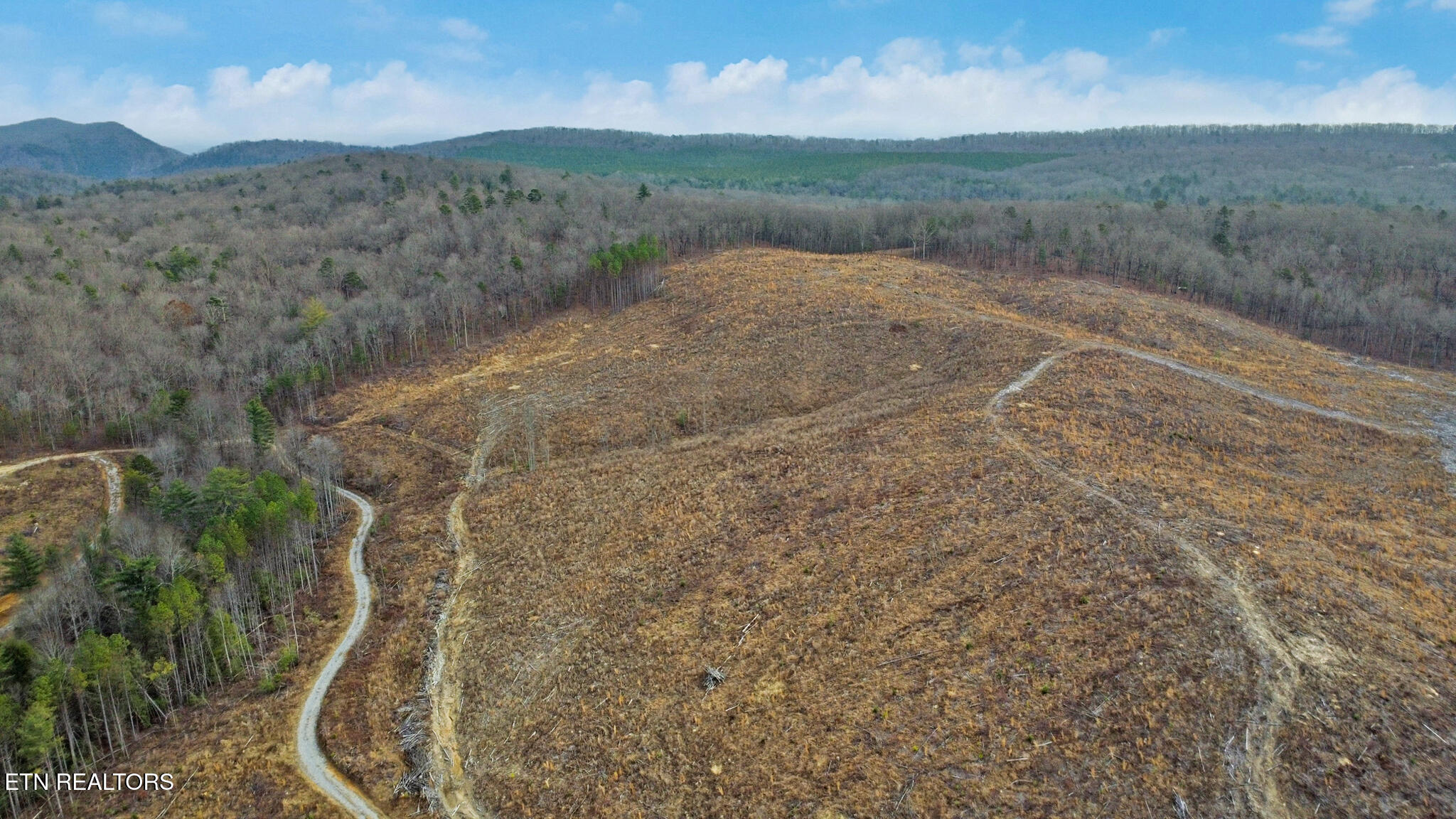 142.25 Acres Grandview, TN 37337 - Photo 4 of 30 Aerial View