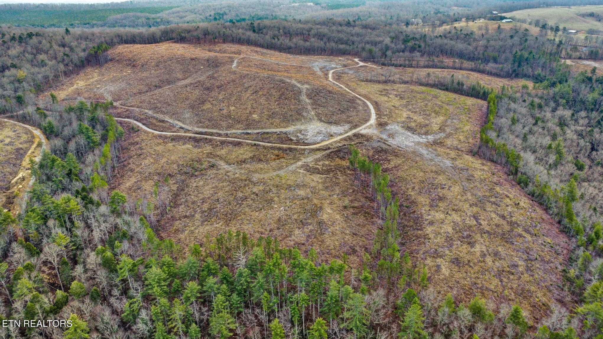 142.25 Acres Grandview, TN 37337 - Photo 5 of 30 Aerial View