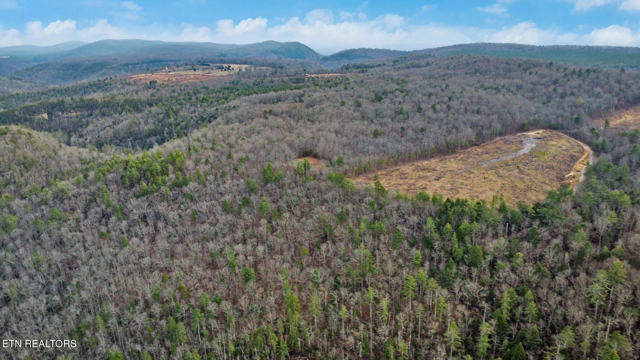 142.25 Acres Grandview, TN 37337 - Photo 6 of 30 Aerial View