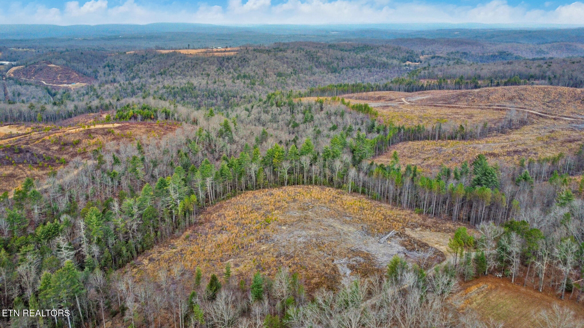142.25 Acres Grandview, TN 37337 - Photo 10 of 30 Aerial View