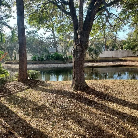 $2,400 | 13804 Lazy Oak Drive, Tampa, FL 33613