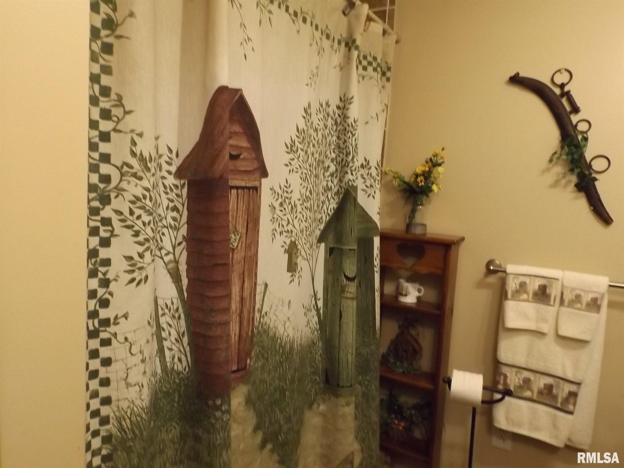 425 Chigger Ridge Road Creal Springs, IL 62922 - Photo 17 of 32 Gallery Image 17