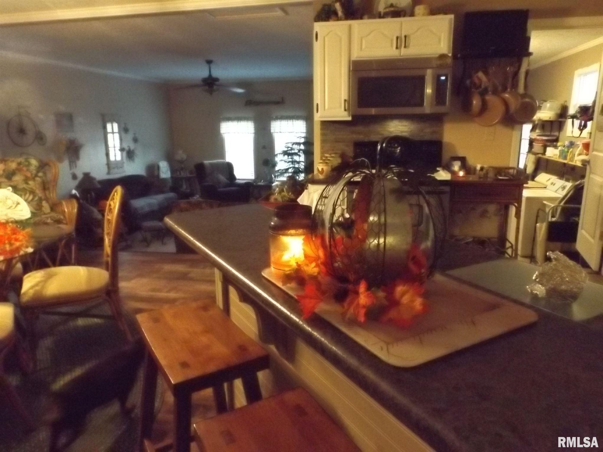 425 Chigger Ridge Road Creal Springs, IL 62922 - Photo 23 of 32 Gallery Image 23