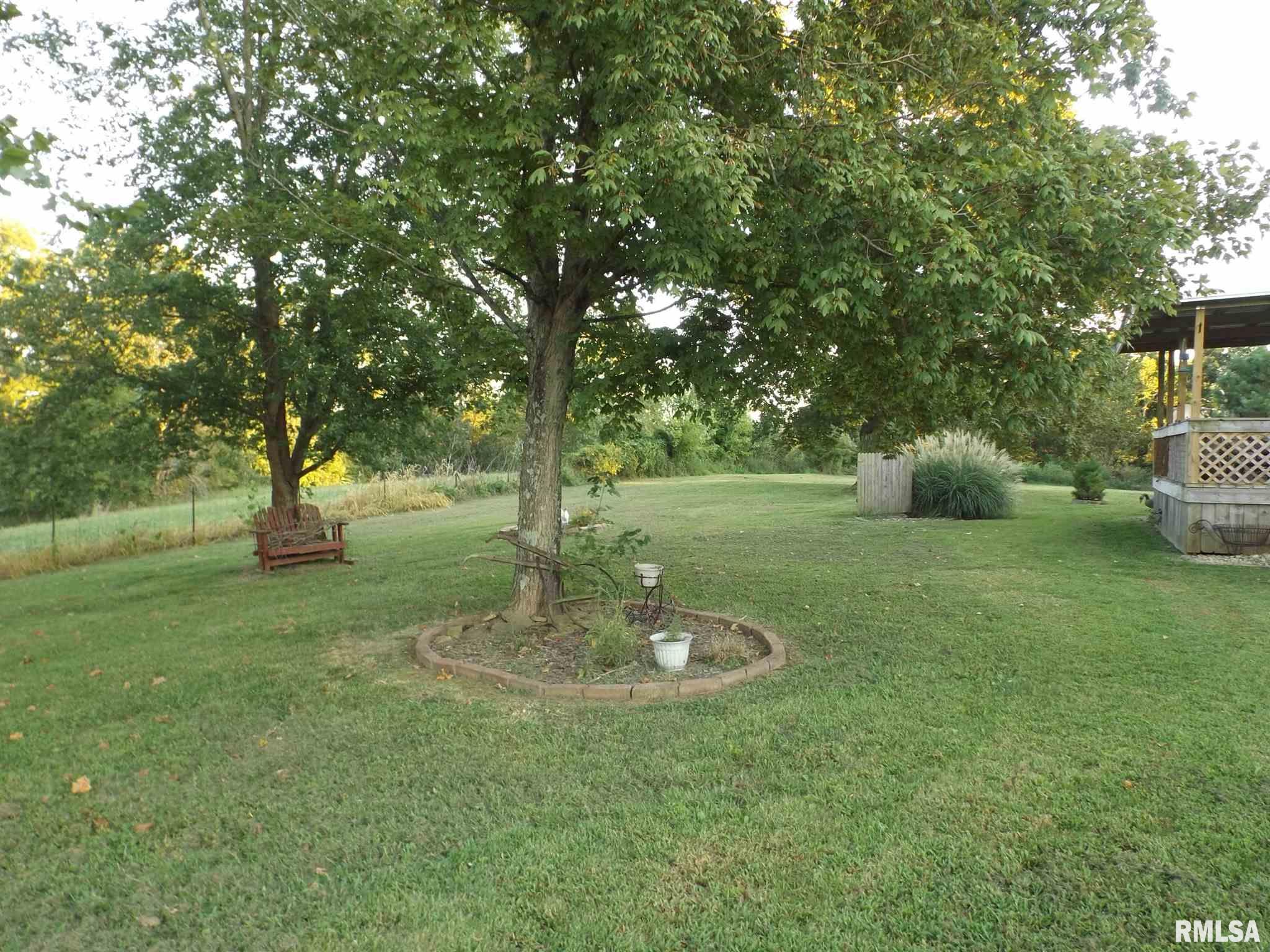 425 Chigger Ridge Road Creal Springs, IL 62922 - Photo 30 of 32 Gallery Image 30