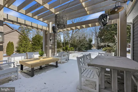 a outdoor space with lots of palm trees