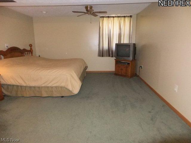 2517 Barnum Road Geneva, OH 44041 - Photo 23 of 25 Gallery Image 23