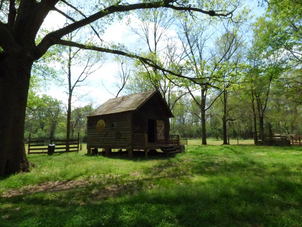 655 Plum Branch Road Edgefield, SC 29824 - Photo 17 of 44