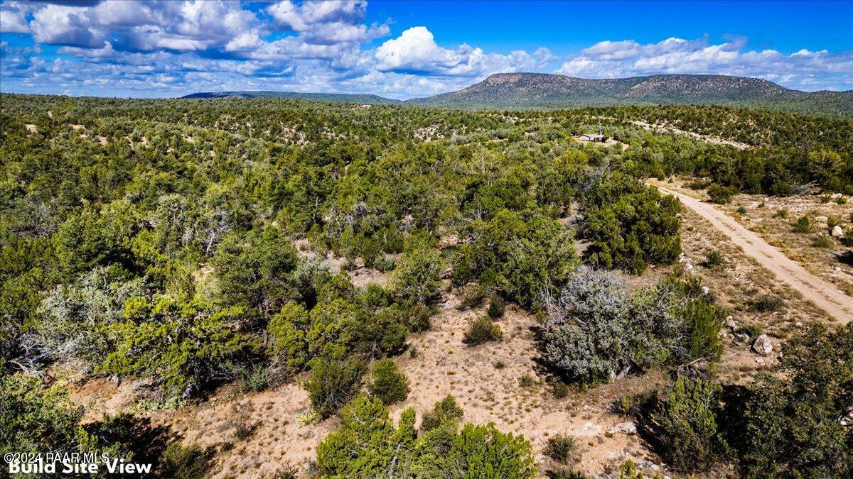 1399 North Thunder Ridge Ranch Road Ash Fork, AZ 86320 - Photo 4 of 10