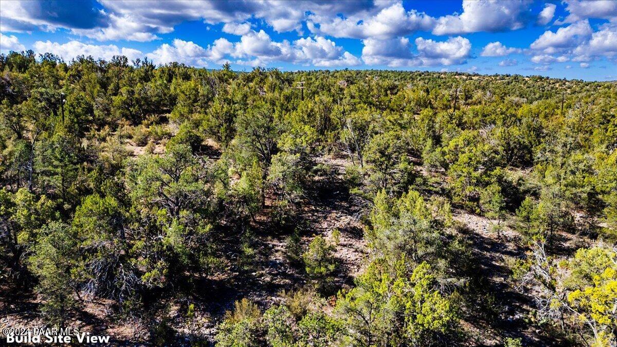 1399 North Thunder Ridge Ranch Road Ash Fork, AZ 86320 - Photo 10 of 10 a view of a bunch of trees
