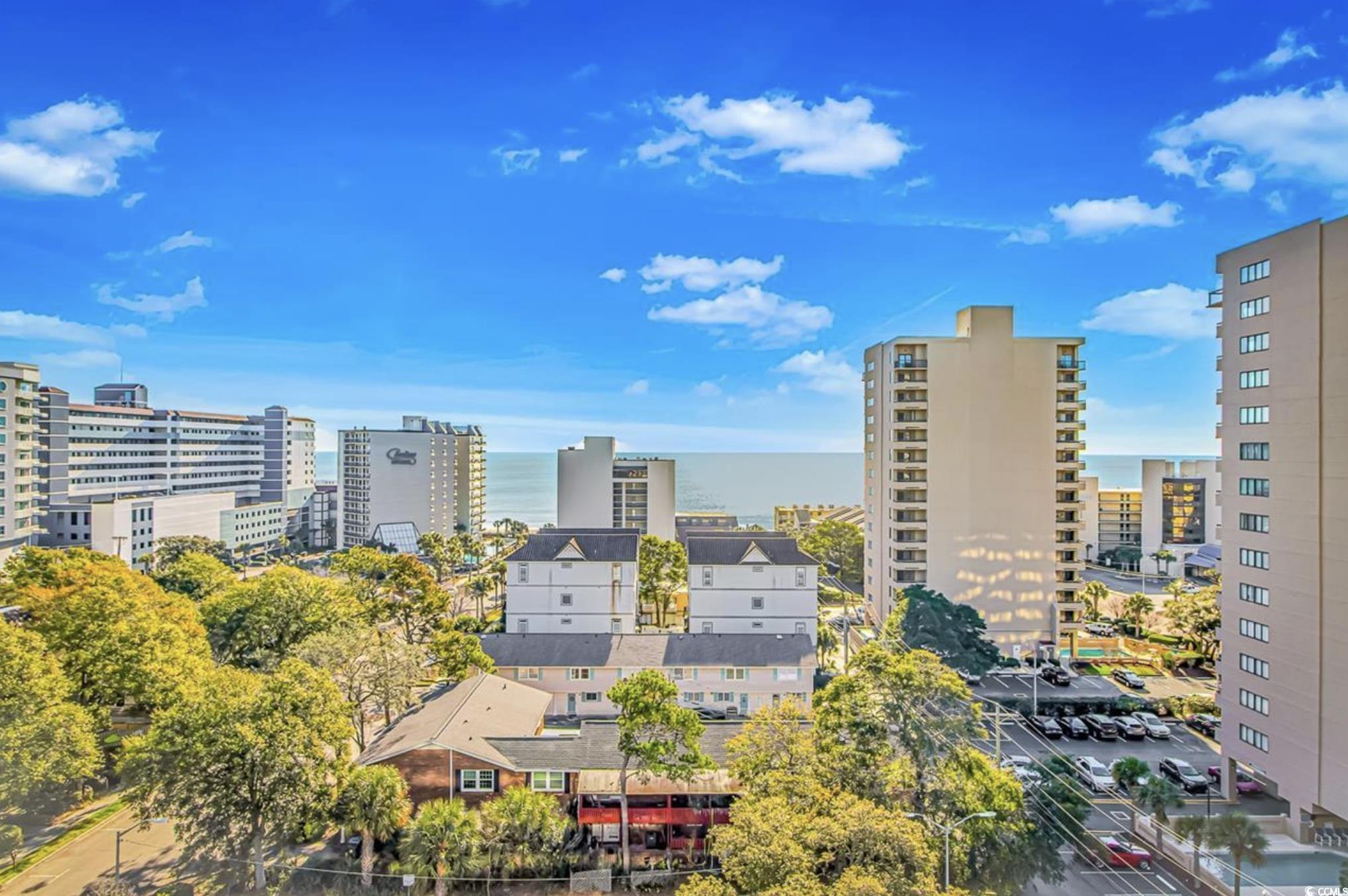 7509 North Ocean Boulevard, Unit 902 Myrtle Beach, SC 29572 - Photo 29 of 30