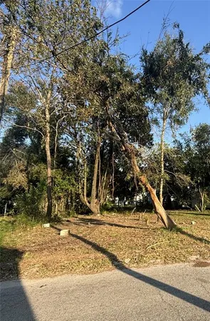a view of a backyard of the house