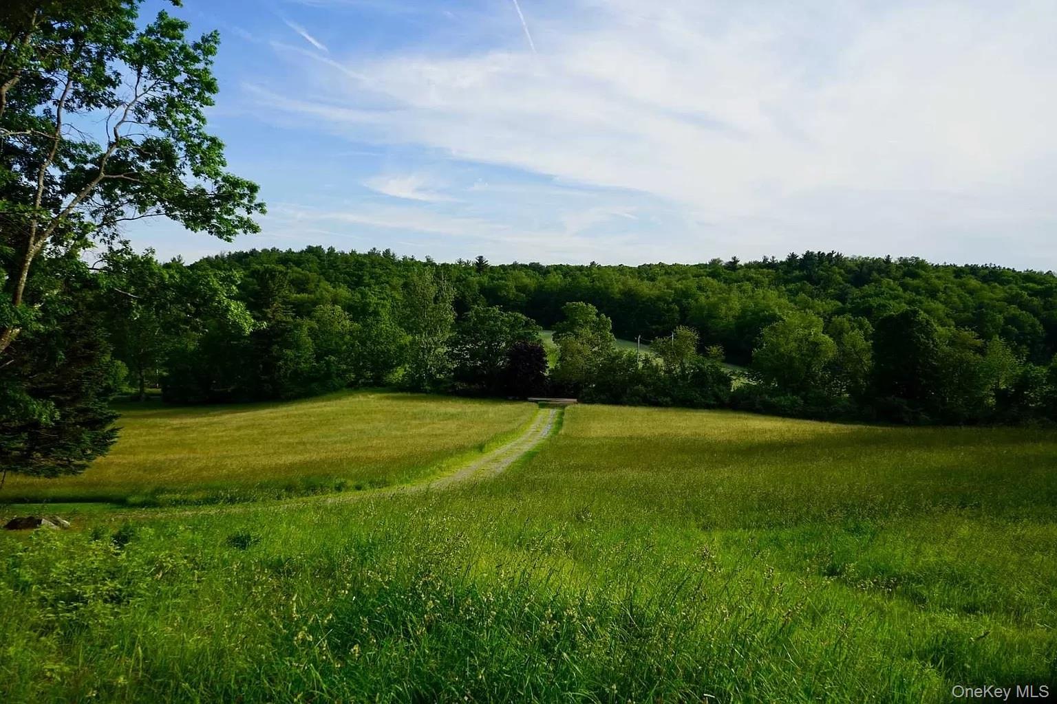 762 Tower Hill Road Millbrook, NY 12545 - Photo 2 of 10