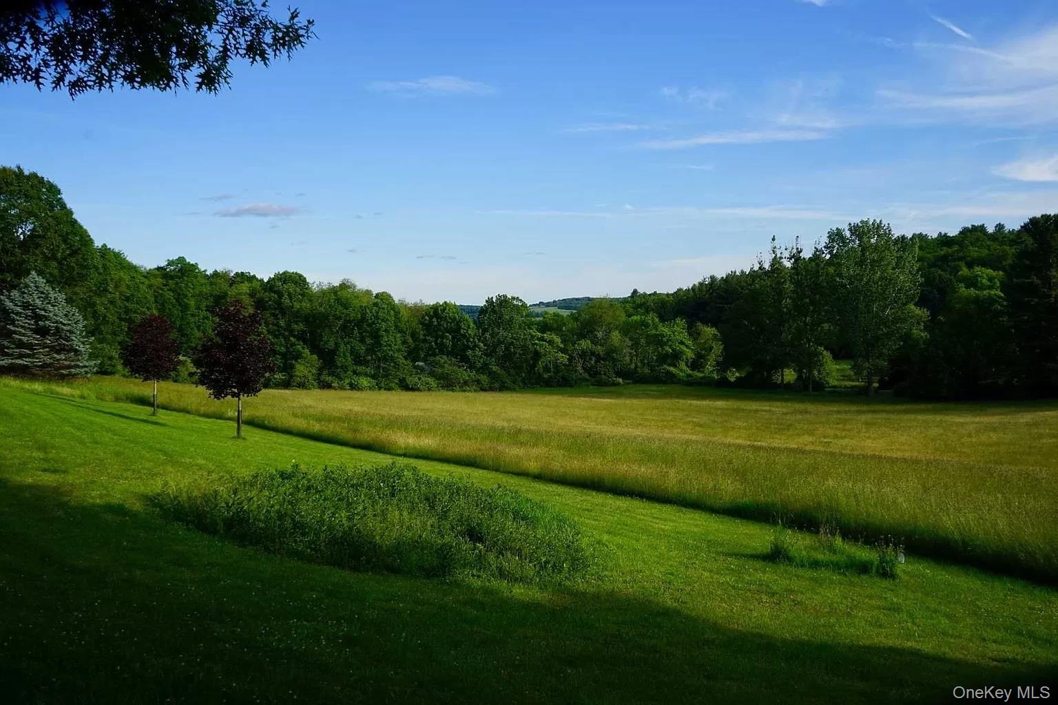 762 Tower Hill Road Millbrook, NY 12545 - Photo 3 of 10