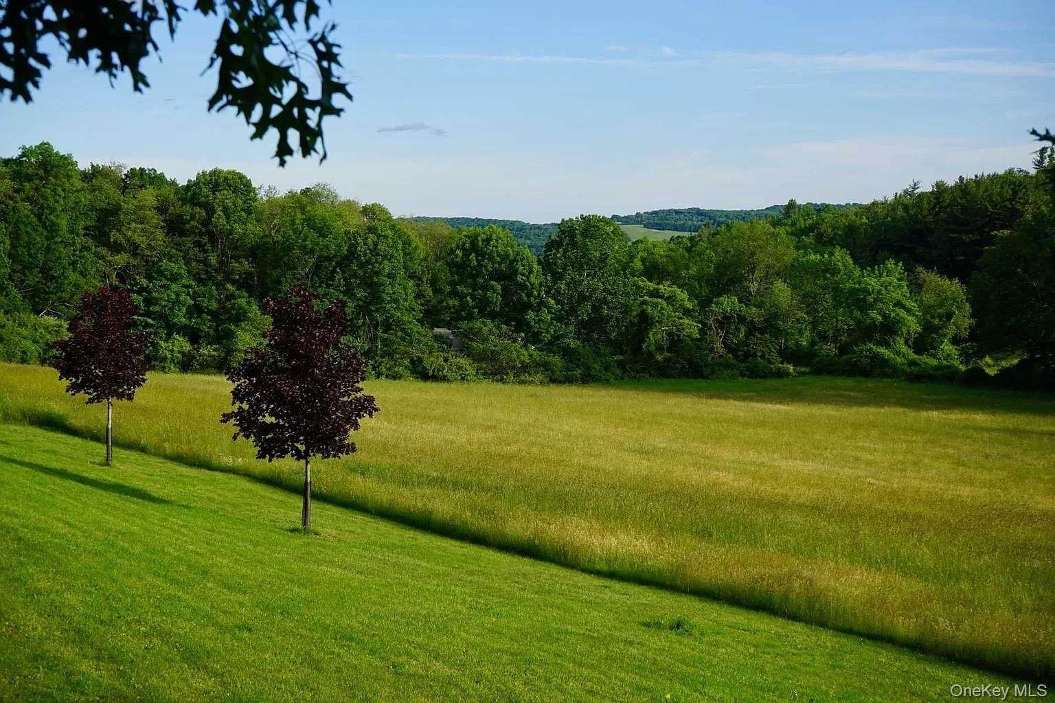 762 Tower Hill Road Millbrook, NY 12545 - Photo 4 of 10