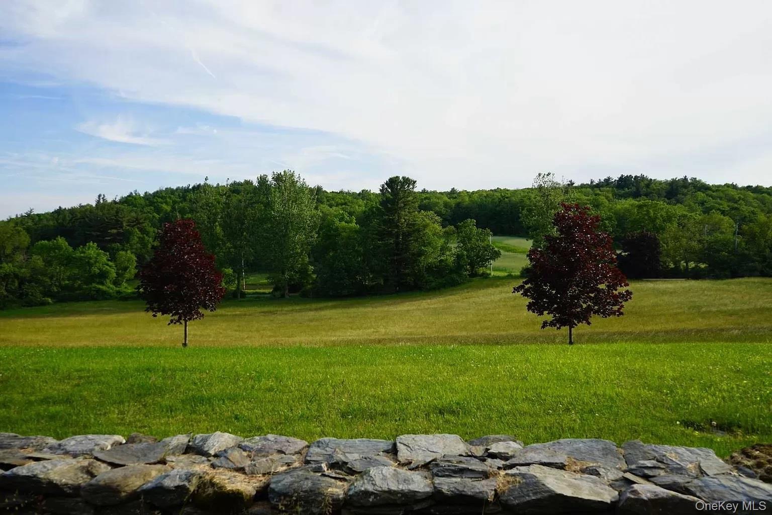 762 Tower Hill Road Millbrook, NY 12545 - Photo 5 of 10