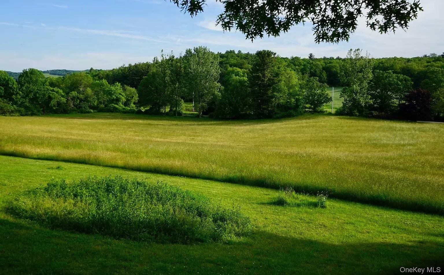 762 Tower Hill Road Millbrook, NY 12545 - Photo 6 of 10