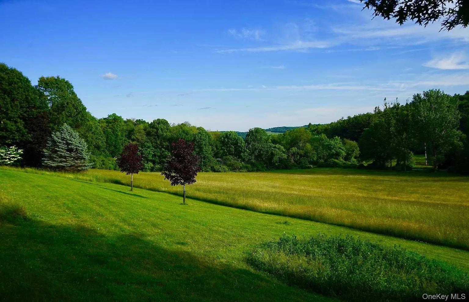 762 Tower Hill Road Millbrook, NY 12545 - Photo 9 of 10