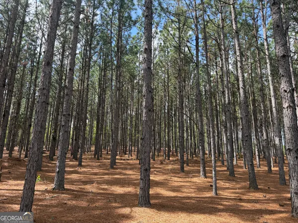 $17,500 | 9 Barge Road, Lumpkin, GA 31815